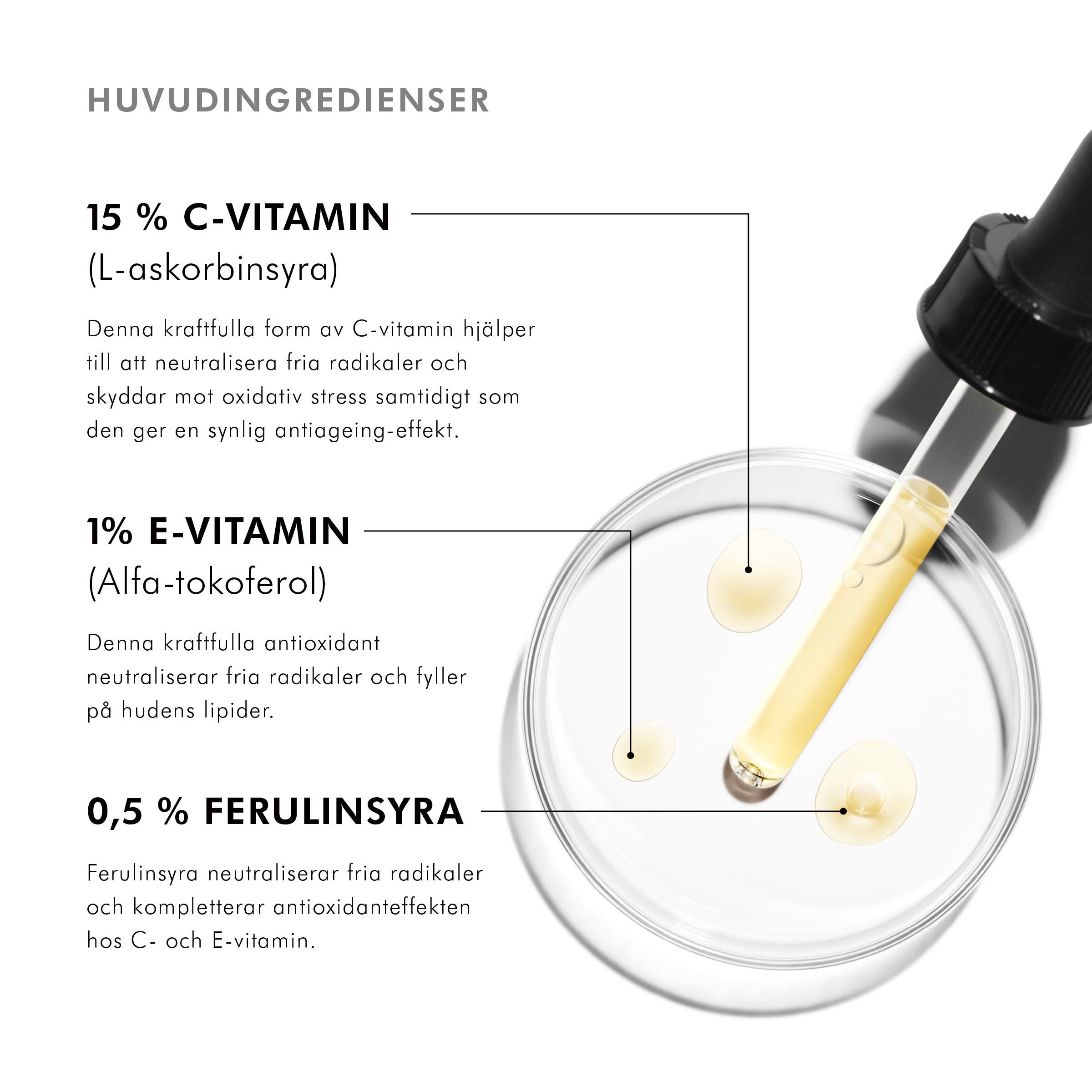 SKC-PDP-00_CE_Ferulic_KEY_INGREDIENTS_SE
